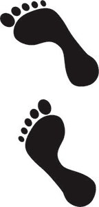 Foot-3